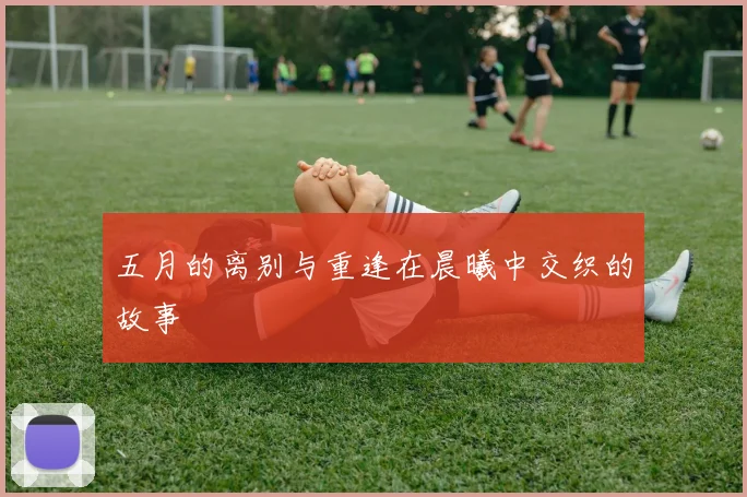 五月的离别与重逢在晨曦中交织的故事