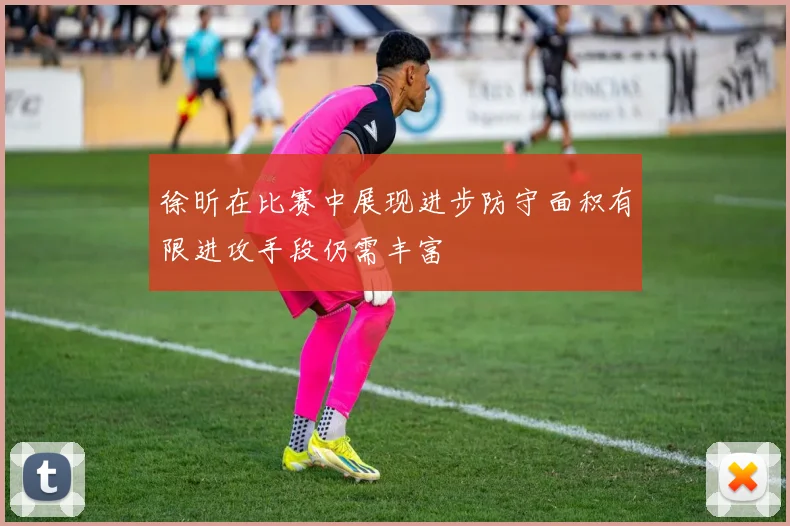 徐昕在比赛中展现进步防守面积有限进攻手段仍需丰富