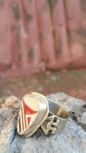 20150908_165703_resized_1